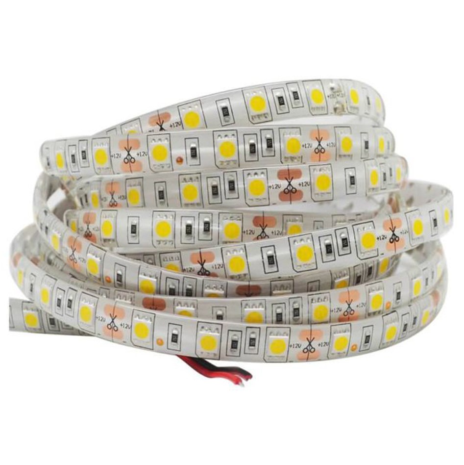 5050 - 12V - Waterproof - LED Striplight - 5m - Click to Choose - Cool White / 60 LEDs/m