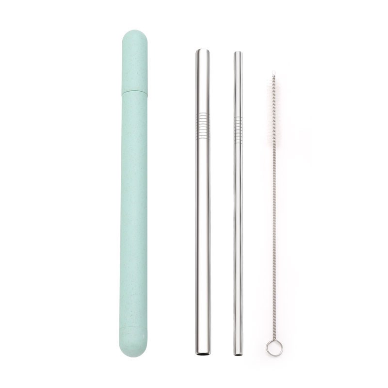 Reusable Stainless Steel Drinking Straws - 3 Piece Set in Tube