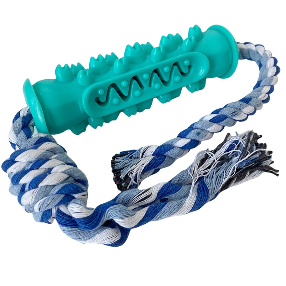 Dog Toothbrush - Serrated Molar Stick - Turquoise / (previously loaded as blue on invoice)